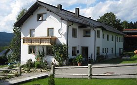 Pension Zum Lusenblick